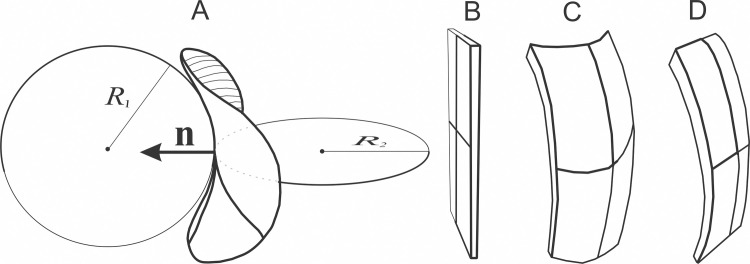 Fig 2