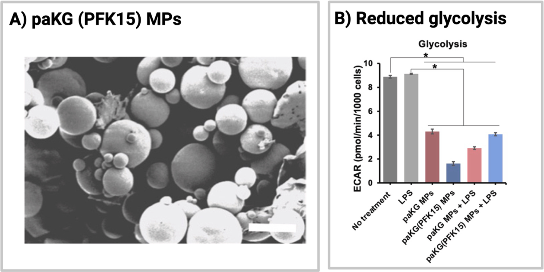 Fig.4.