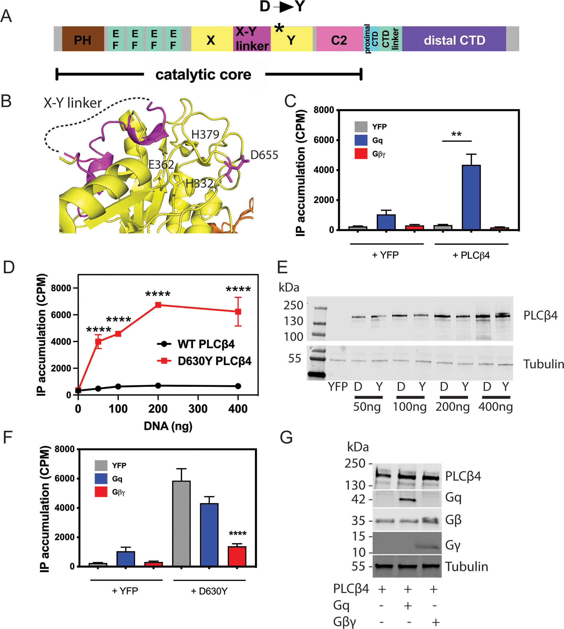 Figure 1: