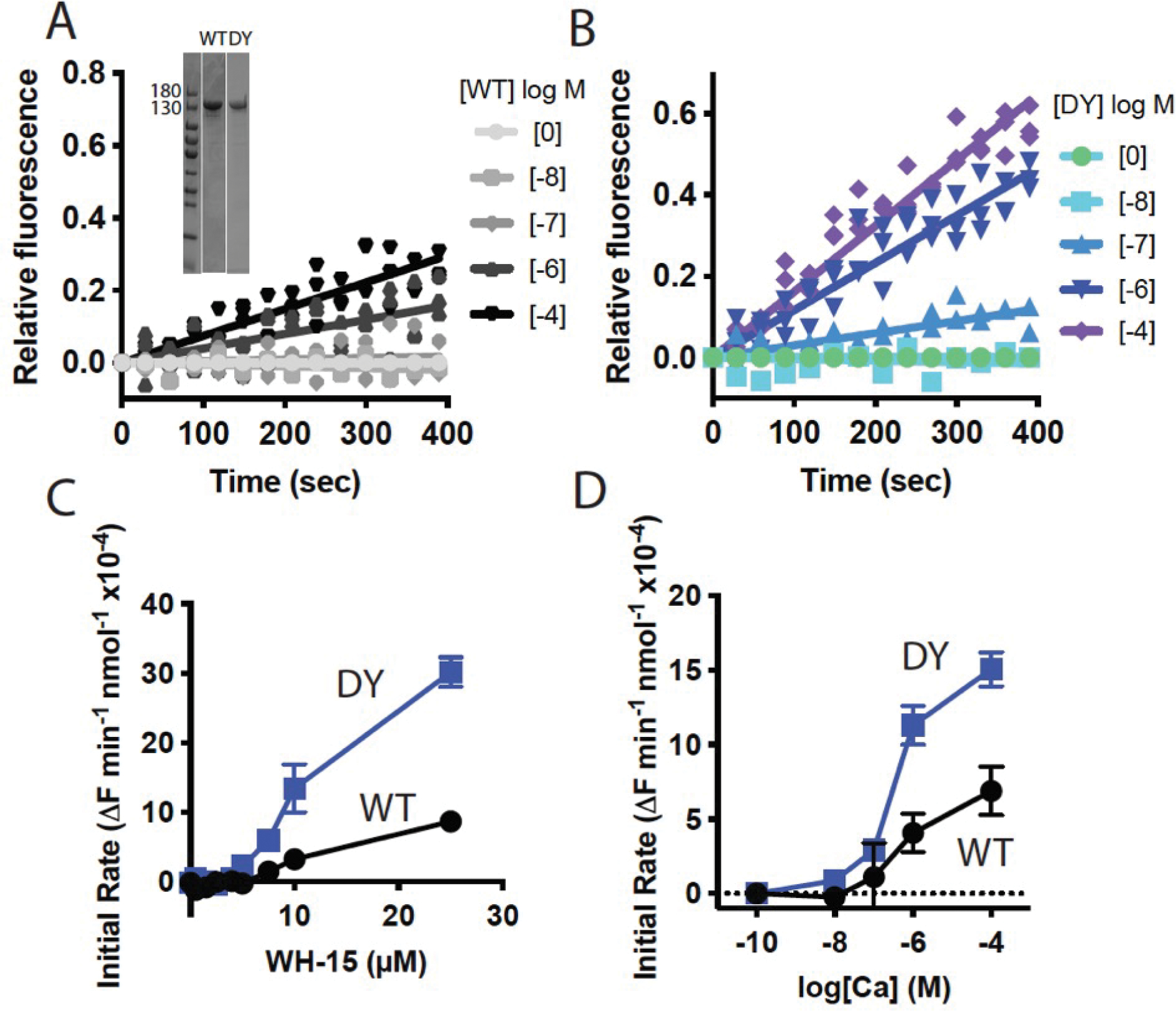 Figure 4: