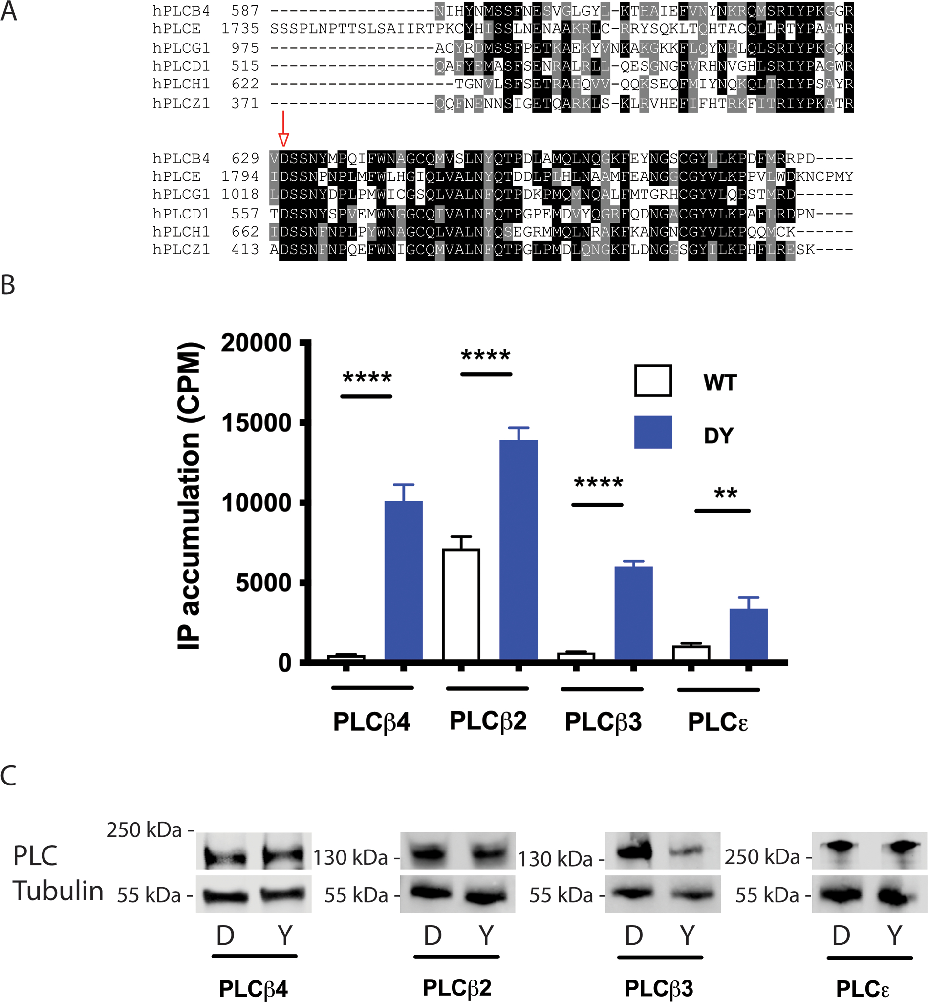 Figure 2: