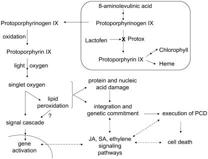 Figure 9.