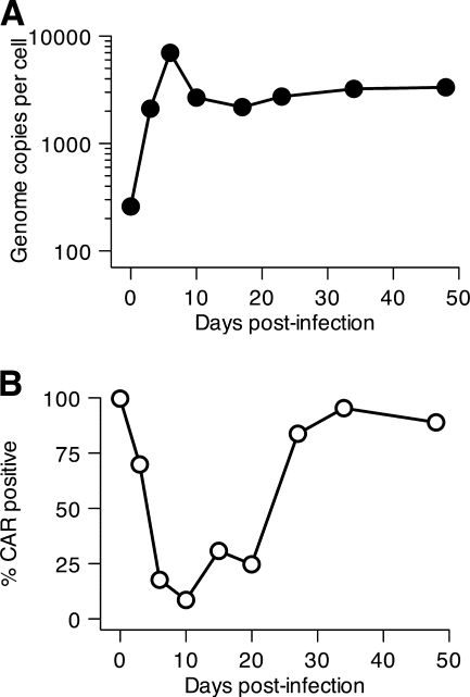 FIG. 10.