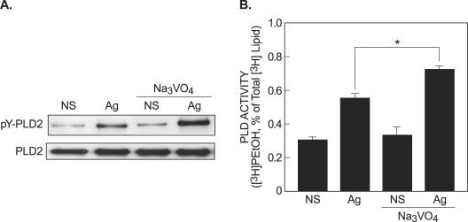 FIG. 11.