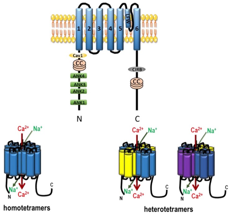 Figure 9