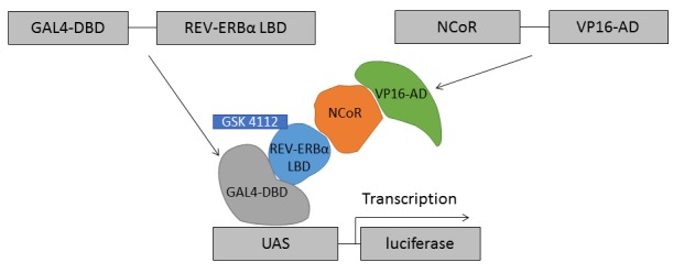 Figure 2.