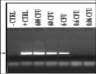 Fig. 2.3