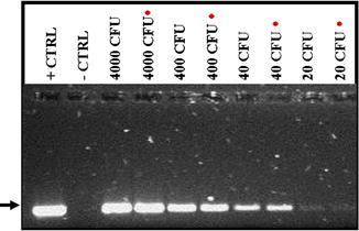 Fig. 2.2