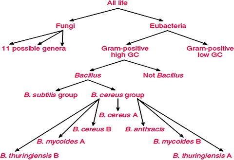 Fig. 2.4