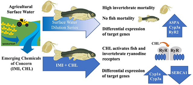 graphic file with name nihms-1780418-f0006.jpg