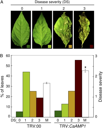 Figure 6.