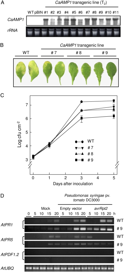 Figure 7.