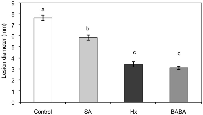 FIGURE 2