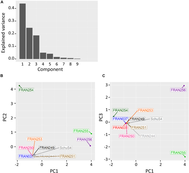 FIGURE 2