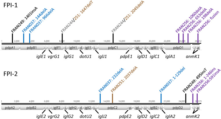 FIGURE 4