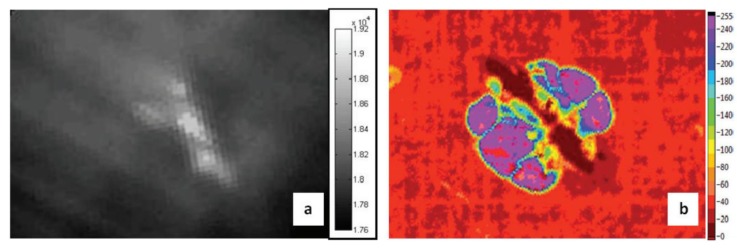 Figure 19