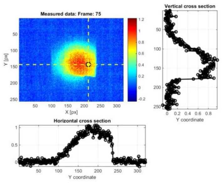 Figure 10