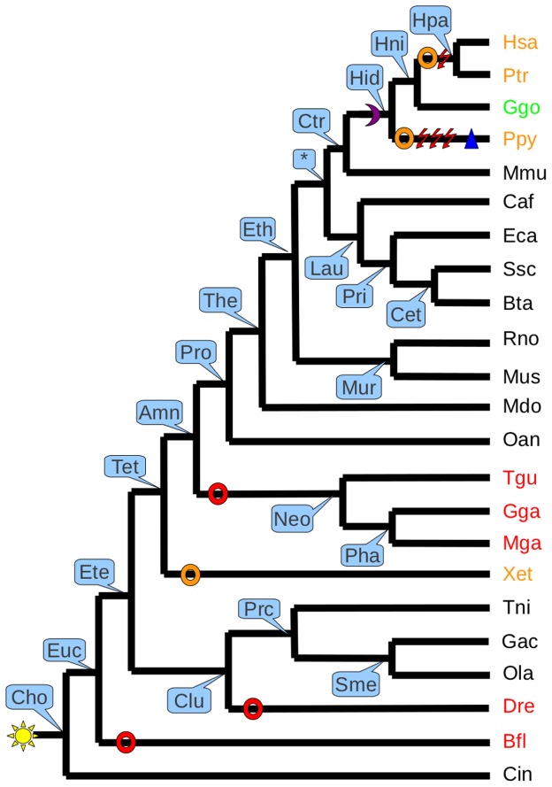 Figure 6