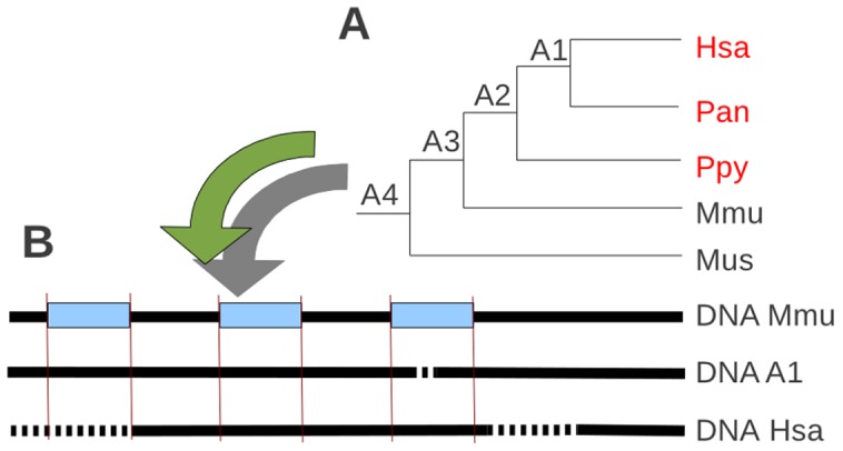 Figure 5