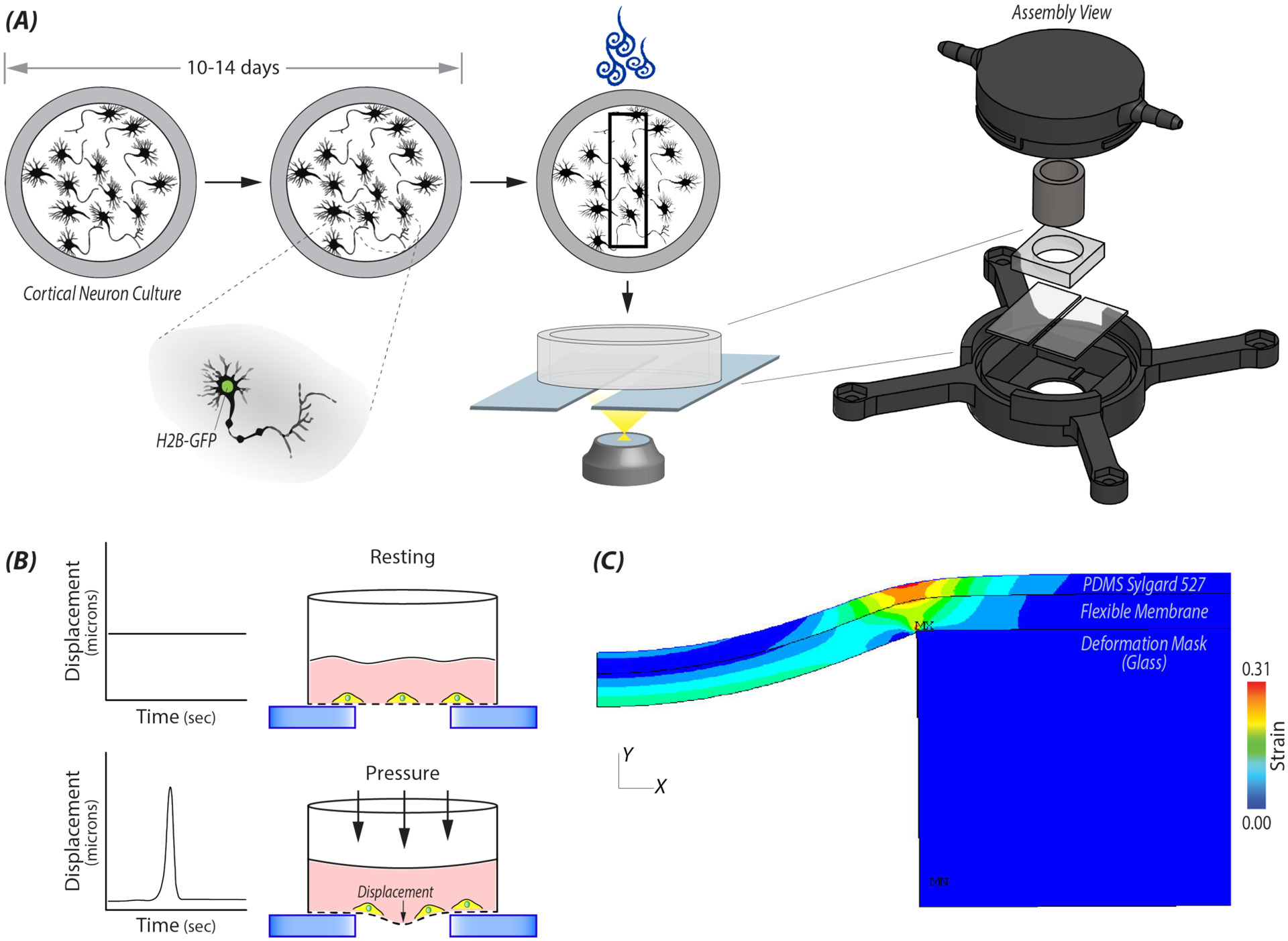 Figure 1: