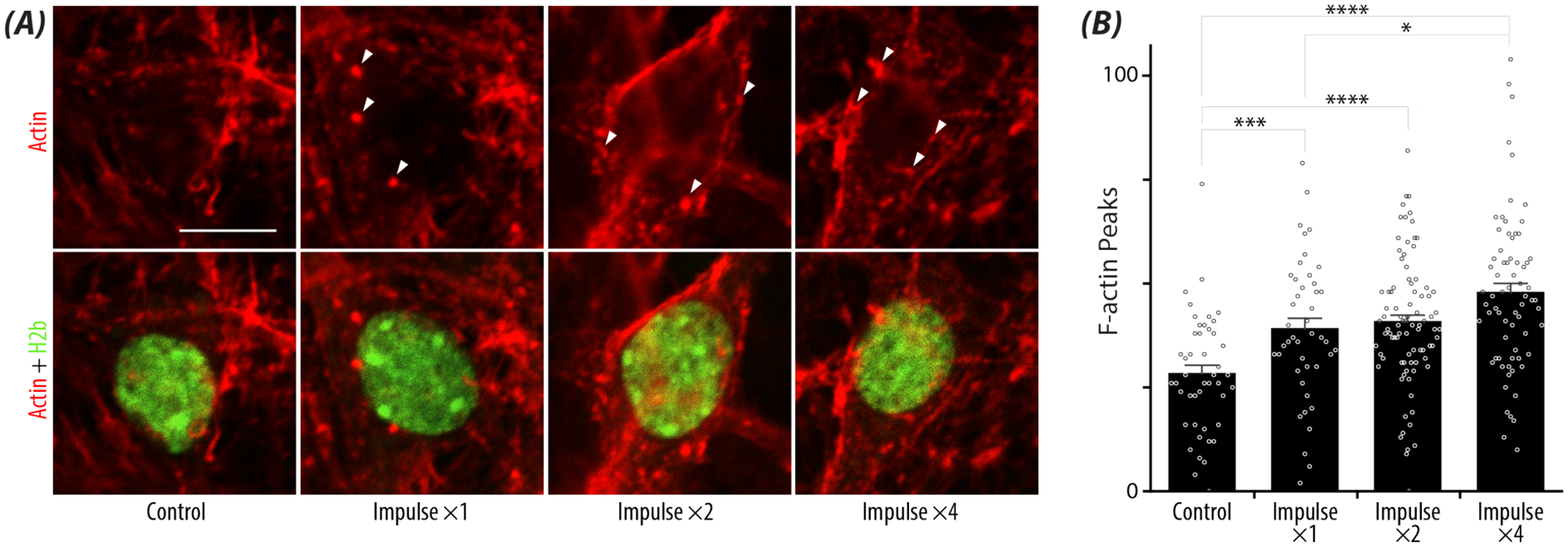 Figure 6: