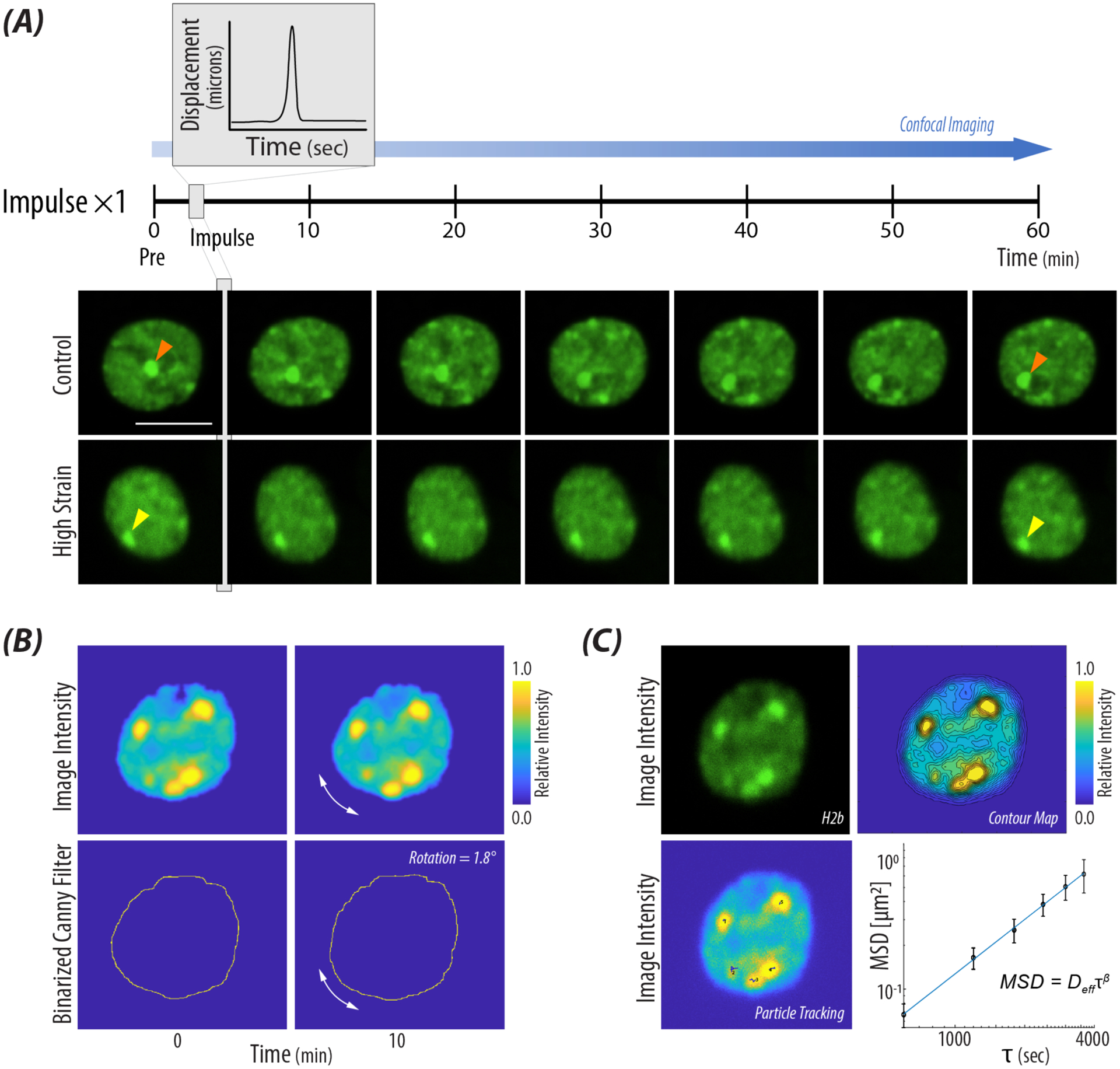 Figure 2: