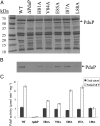 Fig. 4.