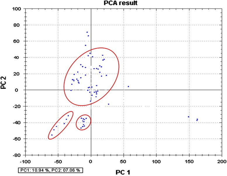 Fig. 3