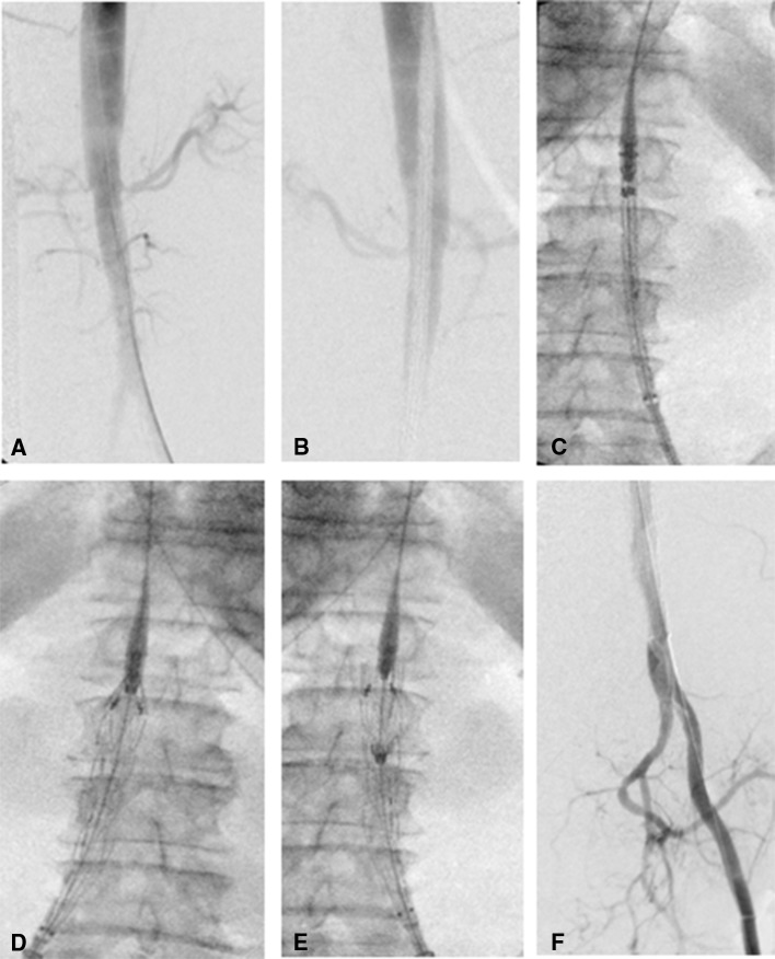 Fig. 3