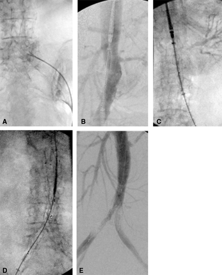 Fig. 4