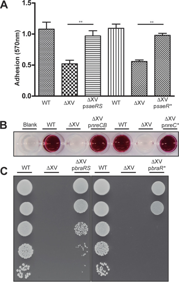 FIG 1