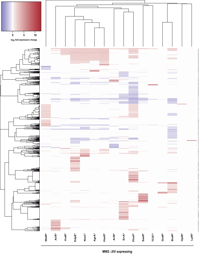 FIG 3