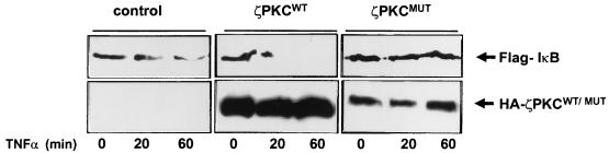 FIG. 7