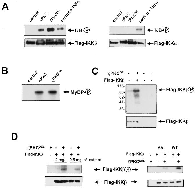 FIG. 6