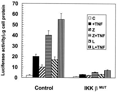 FIG. 8