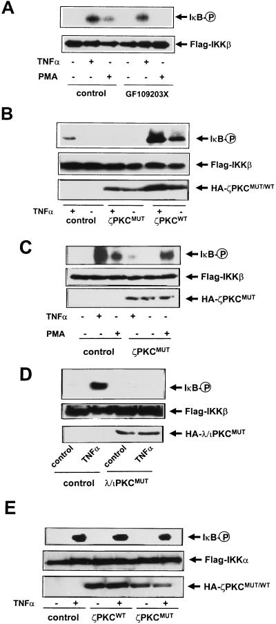 FIG. 5