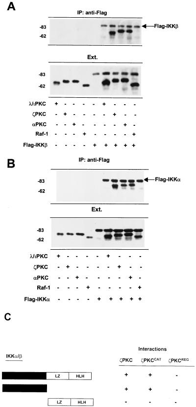 FIG. 1