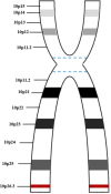 Fig. 5