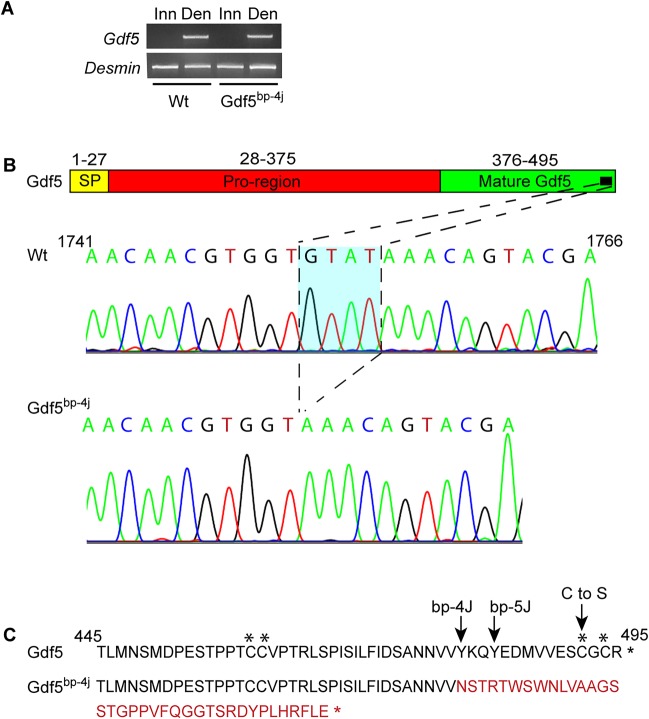 Fig. 10.