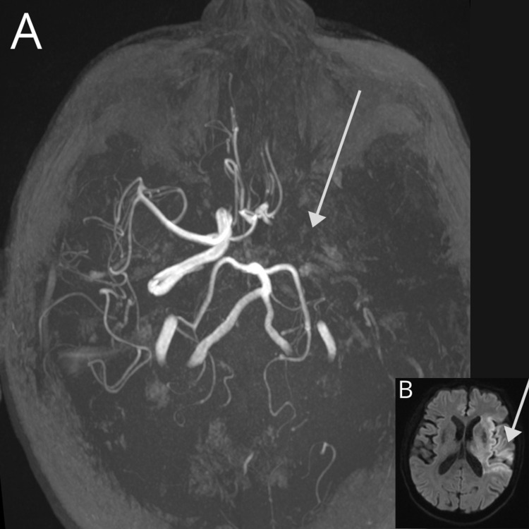 Figure 7