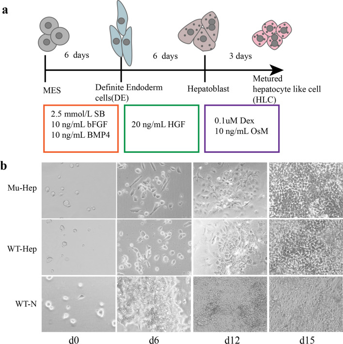 Fig. 3