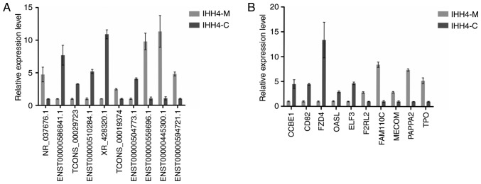 Figure 4.