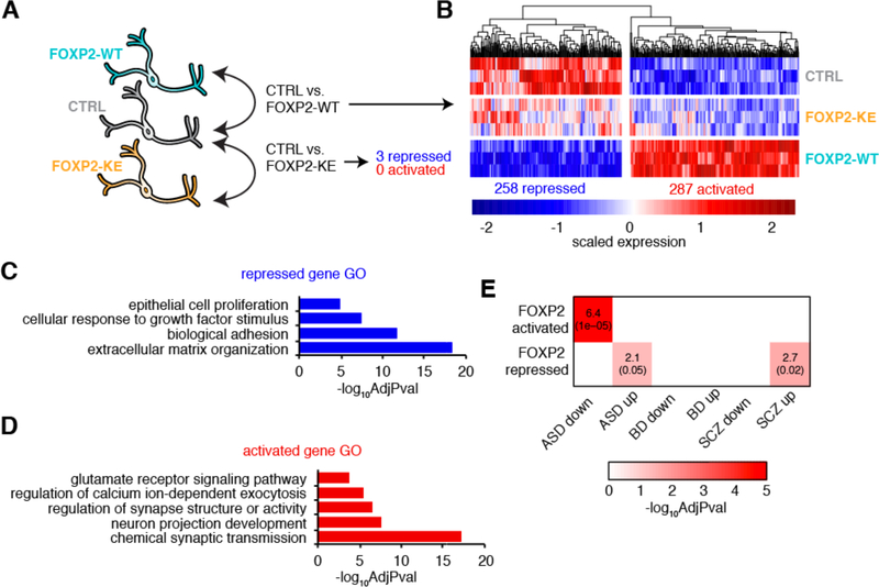 Figure 2: