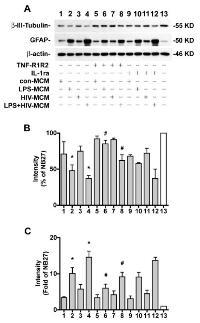 Fig. 9