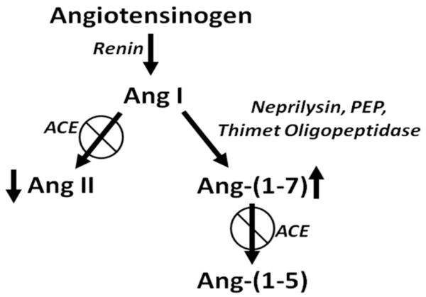 Fig. (2)