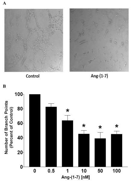 Fig. (4)