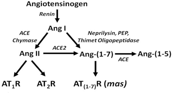 Fig. (1)