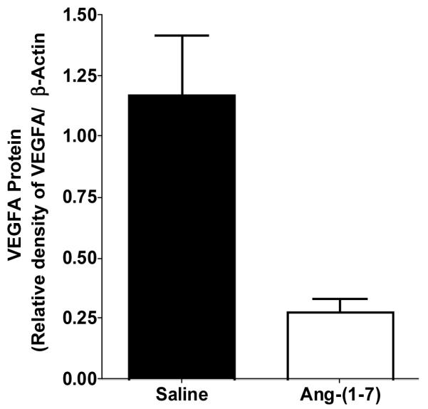 Fig. (3)