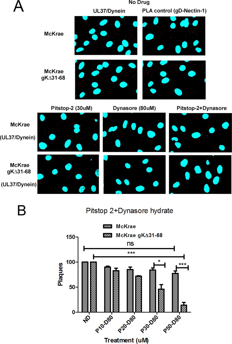 FIG 6