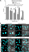 FIG 1